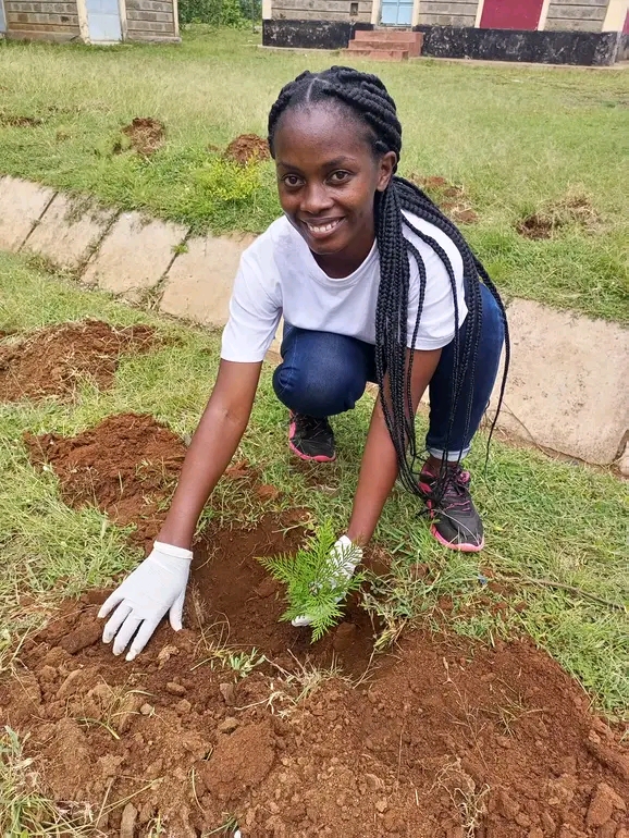 Tree Planting